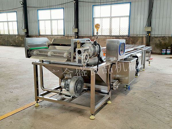 全自动果蔬清洗机